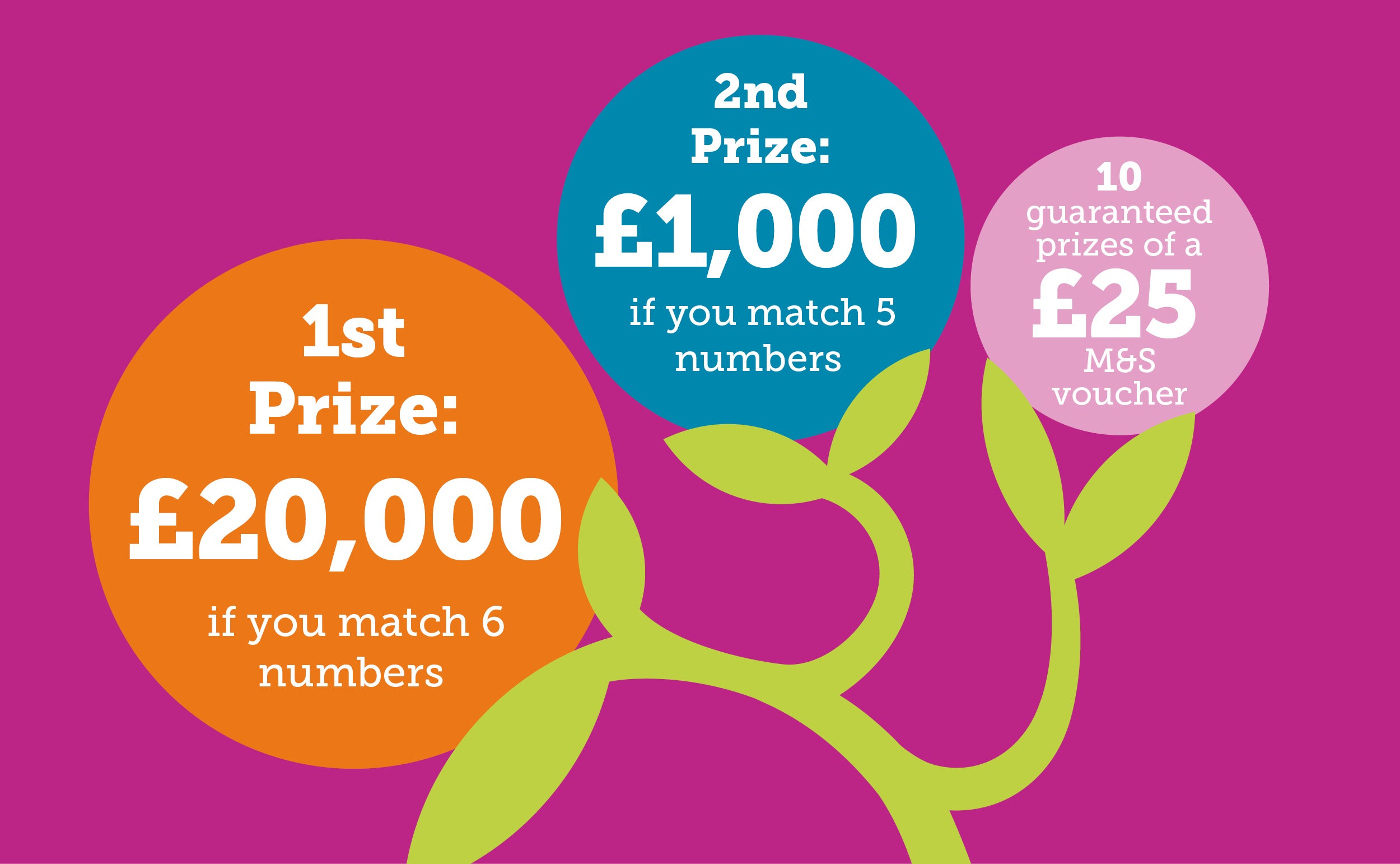 Friday Flutter prizes